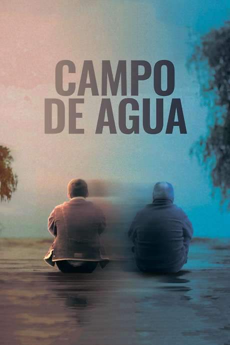 Campo de agua